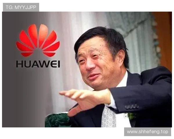 从商人与企业家的奋斗历程看创新精神与社会责任的深度融合